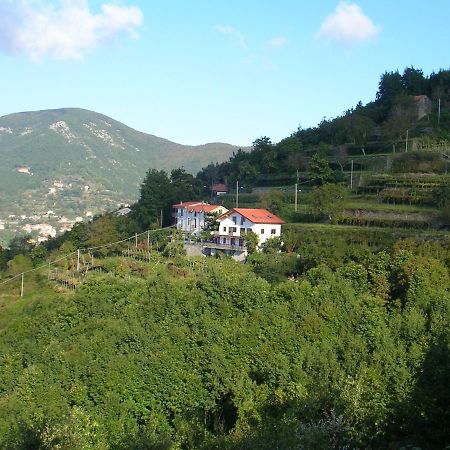 Agriturismo Il Castagno Villa Agerola Exterior foto